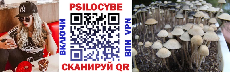 Купить  Нязепетровск  Галлюциногенные грибы прущие грибы 